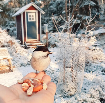 Техника интуитивного рисования: Как искусство помогает проявить творческие способности и усилить интуитивные порывы