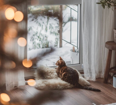 Как медитация помогает улучшить интуитивные способности?